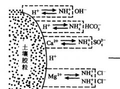 施用碳酸氫銨為什么要強(qiáng)調(diào)深施覆土？