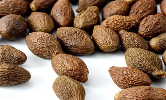 胖大海有潤腸燥、通大便的功效