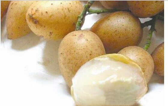 黃皮水果怎么吃 黃皮種植管理方法