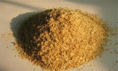 麥麩子是什么東西，麥麩喂羊有什么好處？