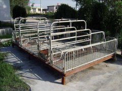 使用母豬產床有哪些優(yōu)點？