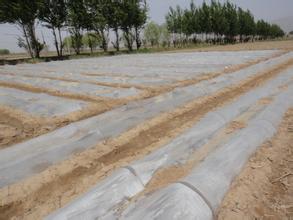 選好地塊，合理輪作