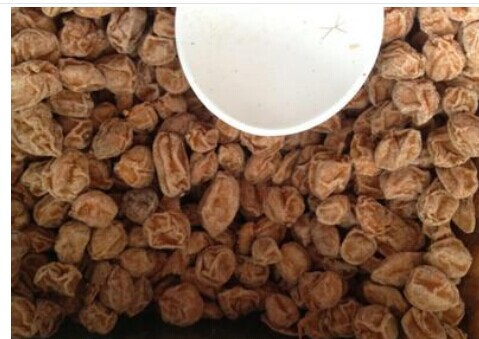 黃皮干的功效與作用 吃黃皮果有什么好處 黃皮的作用與功效