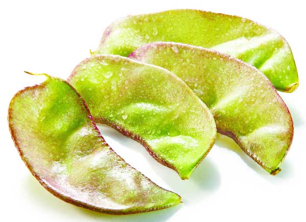 扁豆的功效與作用 扁豆種植管理方法