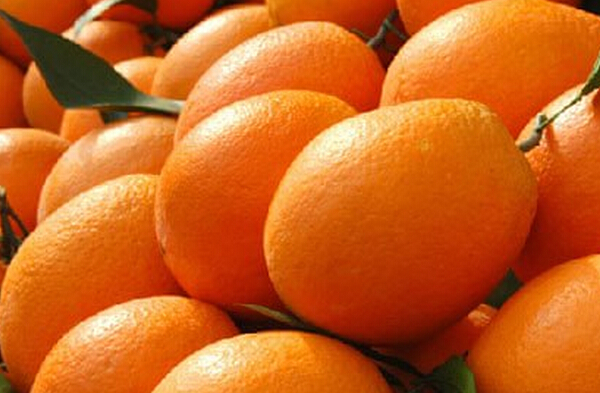 奉節(jié)臍橙的功效與作用 臍橙的作用與功效