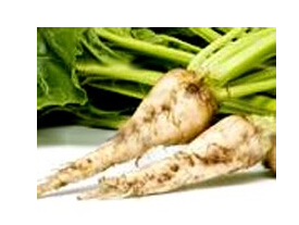 葉用甜菜的營養(yǎng)價值和功效 甜菜的功效與作用