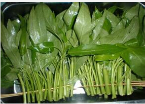 蕹菜的作用與功效