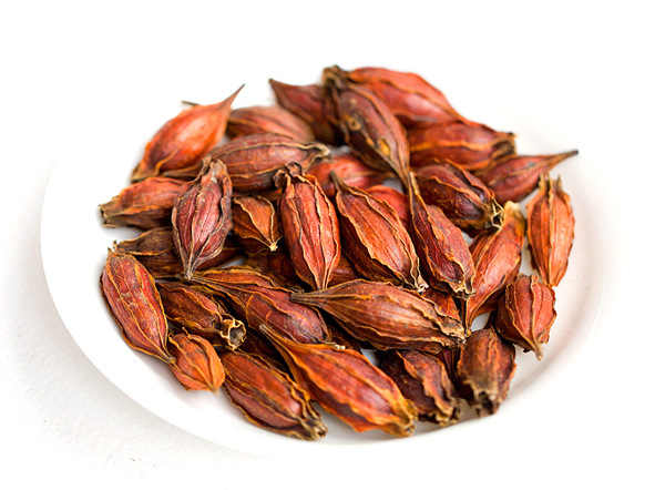 中藥梔子功效作用及應(yīng)用 梔子的功效與作用