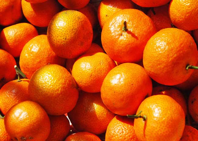 沙糖桔種植技術(shù) 其他果樹種植技術(shù)