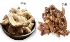 高良姜與干姜的區(qū)別 高良姜的作用與功效是什么