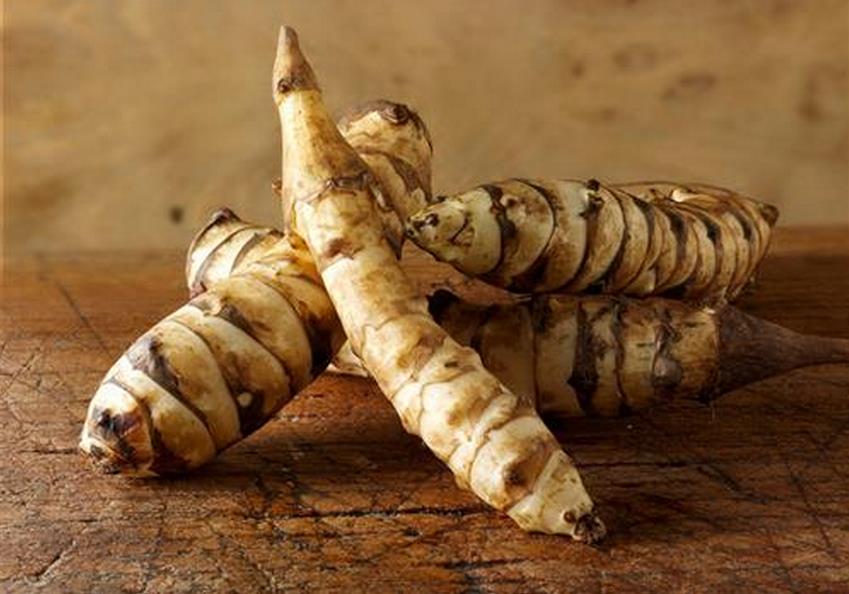 洋姜的功效與作用、吃洋姜的好處