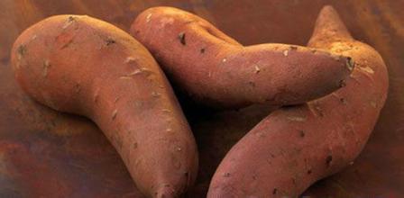 吃地瓜的好處和壞處 糧食的功效與作用