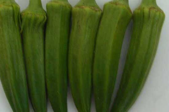 黃秋葵的功效與作用 黃秋葵種植技術