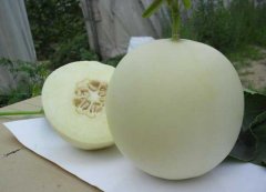 孕婦能吃香瓜嗎？