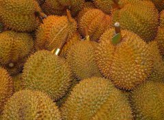 榴蓮的產(chǎn)地有哪些地方？