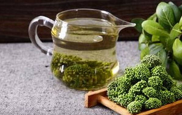 三七花泡水的功效與作用 三七的作用與功效