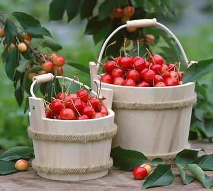 吃櫻桃對孕婦的好處 孕婦吃櫻桃的功效作用 吃櫻桃對孕婦的好處