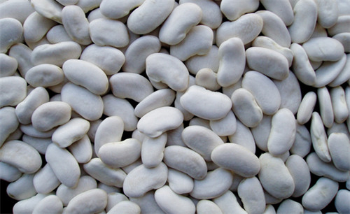 扁豆的作用與功效