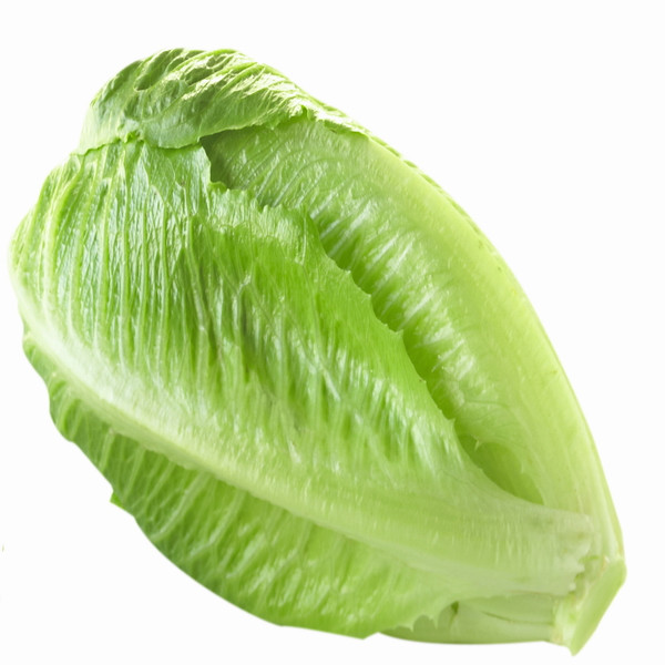 羅馬生菜的營養(yǎng)價(jià)值 吃羅馬生菜的好處