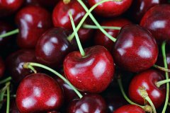 車?yán)遄拥臓I養(yǎng)價(jià)值有哪些 車?yán)遄拥墓πc作用