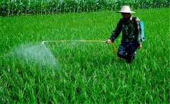 如何合理使用農(nóng)藥，把握好這六點就夠了