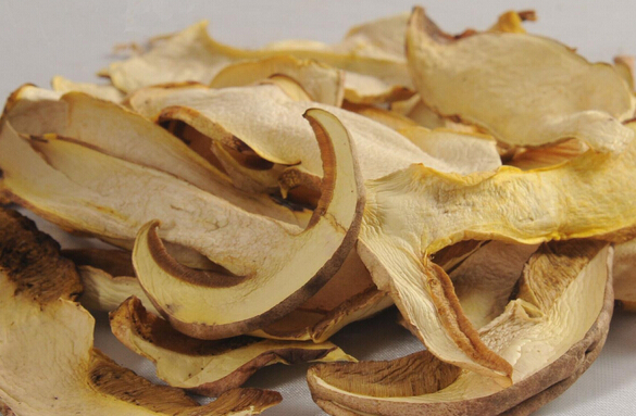 牛肚菌的功效與作用 經(jīng)濟(jì)作物的作用與功效