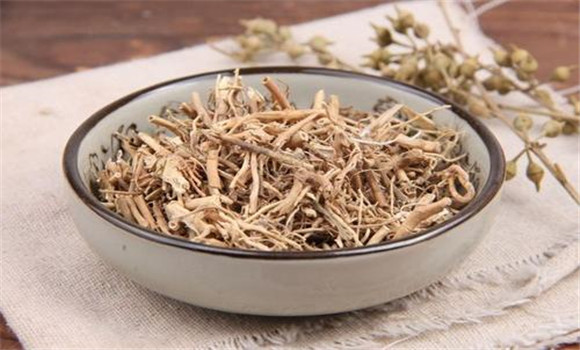 白前用法，用量與禁忌