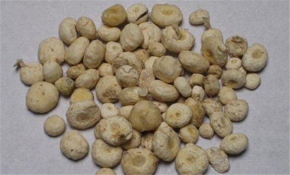 天南星的用法、用量與禁忌