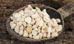 半夏應(yīng)用于哪些病癥，其用法用量如何