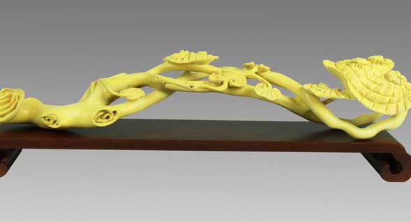 黃楊木價(jià)格為什么這么貴? 黃楊怎么養(yǎng)