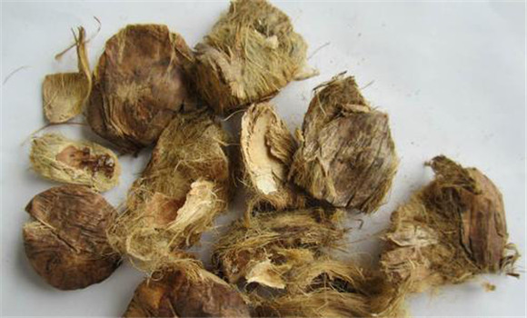 大腹皮的相關(guān)論述