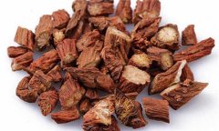 丹參的性能、主治、臨床應(yīng)用及用藥注意事項