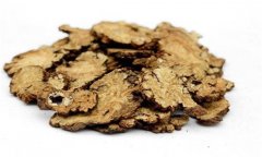 川芎的性能、主治、臨床應(yīng)用及用藥注意事項(xiàng)