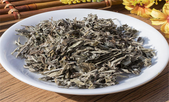 艾葉的用法、用量與禁忌