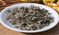 艾葉的性能、主治、臨床應(yīng)用及注意事項(xiàng)