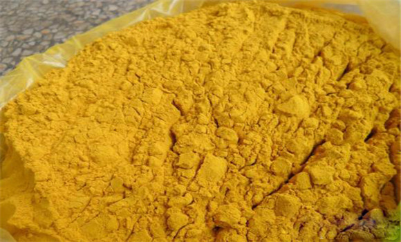 蒲黃的用法、用量與禁忌