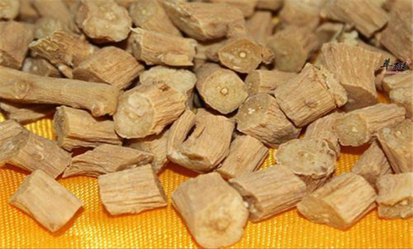 牛膝的用法，用量與禁忌