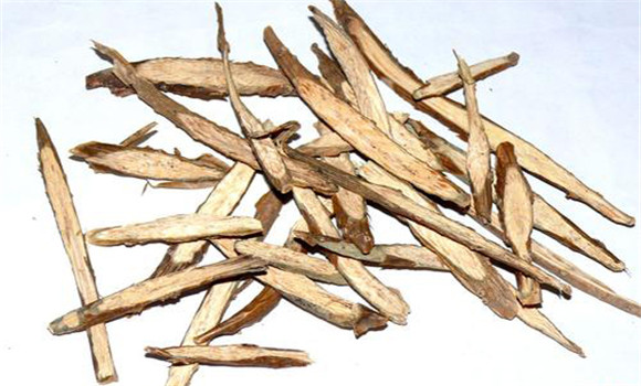 常山的用法、用量與禁忌