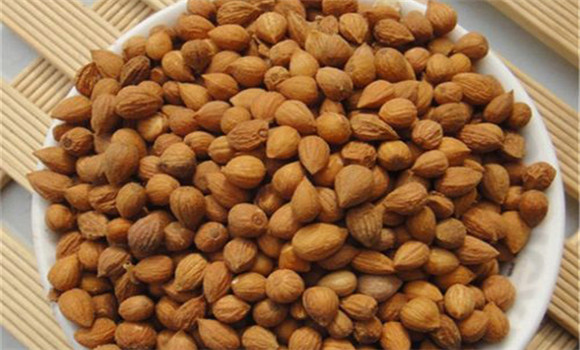 郁李仁的用法、用量與禁忌