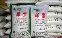 氮肥利用率大約是多少，氮肥是尿素肥嗎？