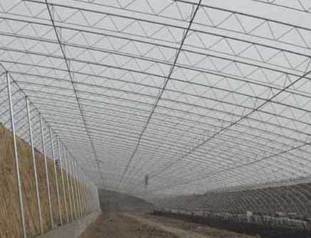 肉雞養(yǎng)殖大棚的建造方式和飼養(yǎng)技術(shù) 肉雞的飼養(yǎng)技術(shù)