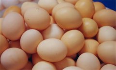 雞蛋腐敗變質(zhì)的過程:告訴你雞蛋是怎樣變壞的