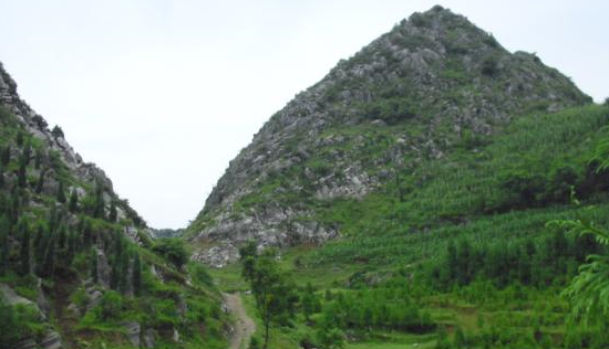 羊養(yǎng)殖技術