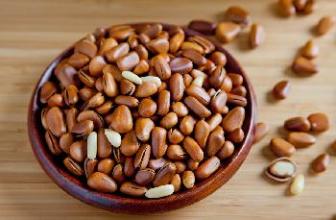 松子的功效與作用 吃松子的好處 果樹的作用與功效