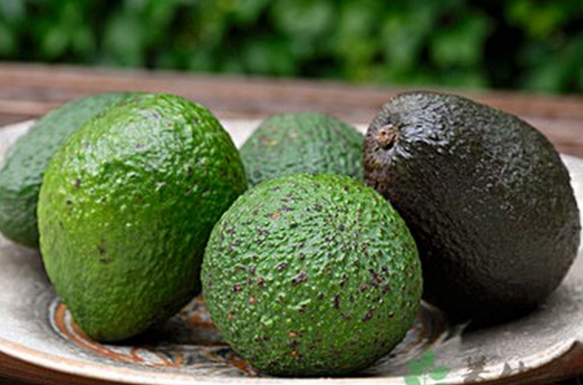 牛油果的營養(yǎng)價值 吃牛油果的好處 牛油果的功效與作用
