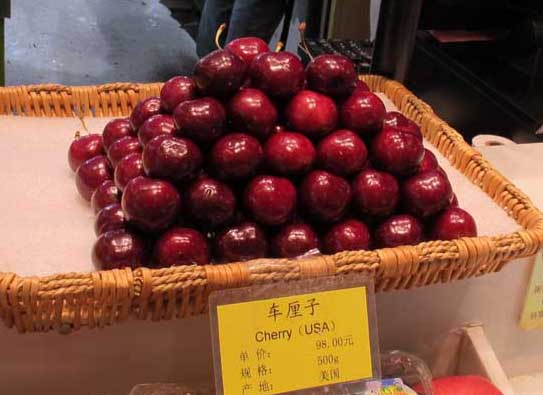 車(chē)?yán)遄訄D片