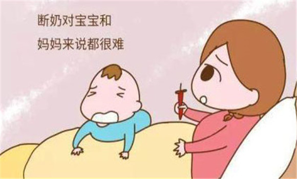 斷奶時要逐漸進(jìn)行