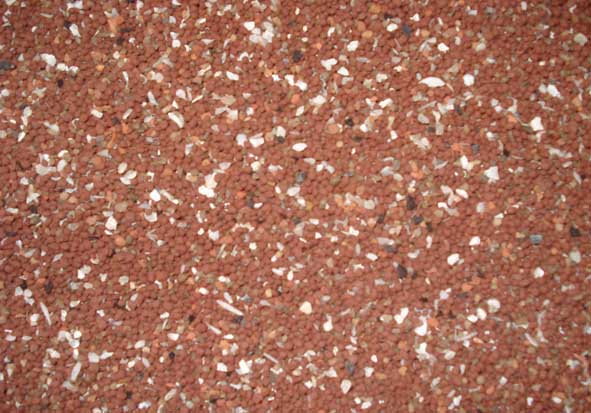 鴿子養(yǎng)殖技術(shù)