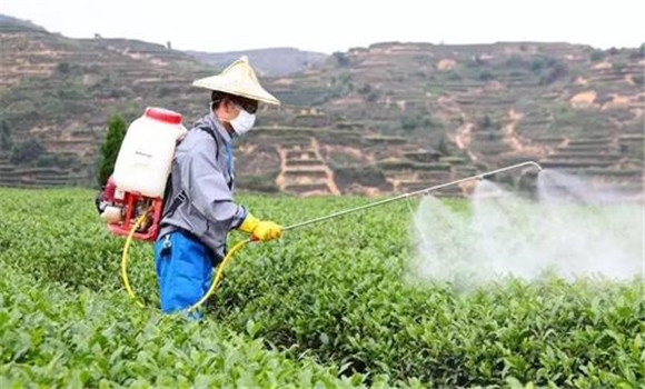 蔬菜噴灑農(nóng)藥注意事項