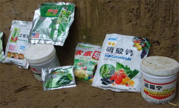 根據不同病蟲害的種類選擇農藥品種和劑型